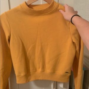 yellow cropped hollister sweater